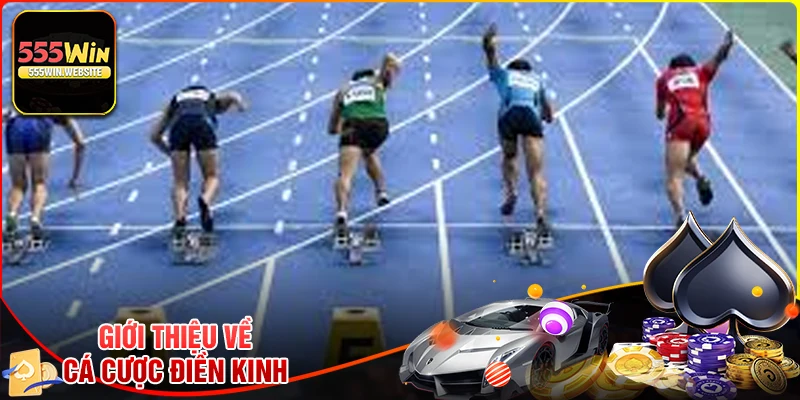 Tổng quan về cá cược điền kinh 555win