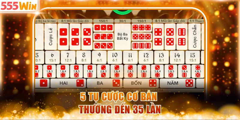 5 tụ cược cơ bản thưởng đến 35 lần